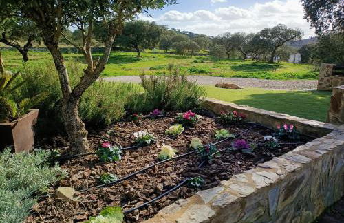 Casa Rural con skatepark y piscina " La Quijada del Lobo " - Foto 43