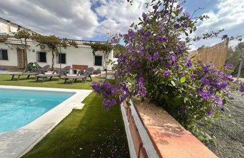 El Cortijo - Foto 12