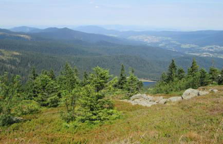 Apartments Josef Seitz - Foto 51