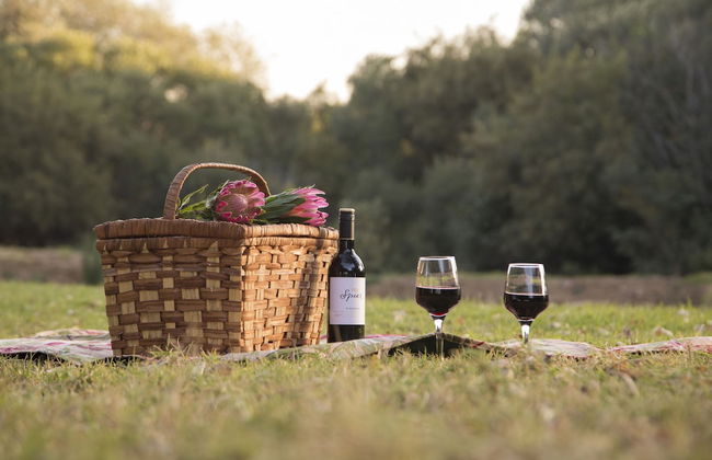 Nehema Manor - Foto 45