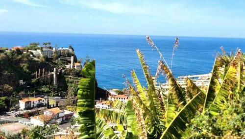 Gomes house - Photo 3