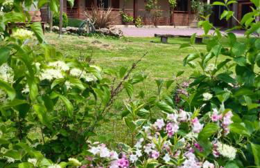 Les Deux Sources - Photo 6