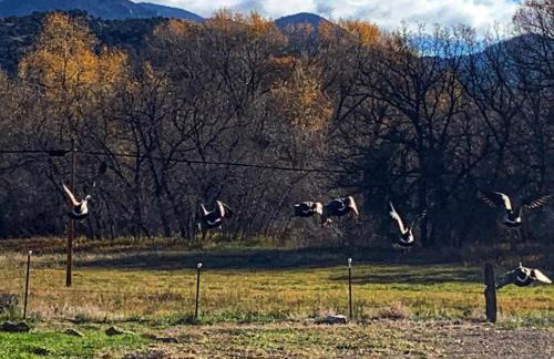 Quiet Motel Room on Ark River - 2 beds - 15 min to Salida - Foto 9