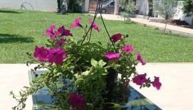 Villa Francesca - Foto 3