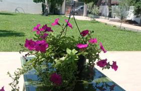 Villa Francesca - Foto 3