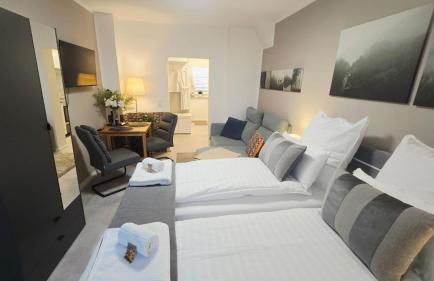 APART Studio Suites - Boutique Design in Dessau - Foto 17