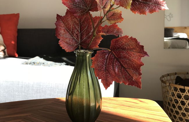 Apartamentos Boutique Villavieja - Foto 28