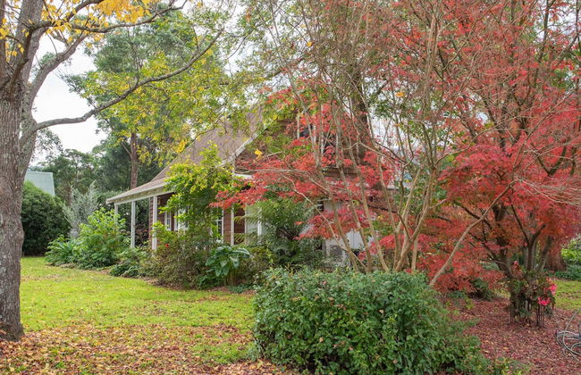 ARCADIA - The Barn Cottage & Rosehill Cottage - Foto 35