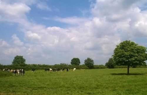 Battens Farm Cottages - B&B and Self-catering Accommodation - Foto 30