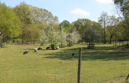 das Ferienhaus Auszeit - Foto 17