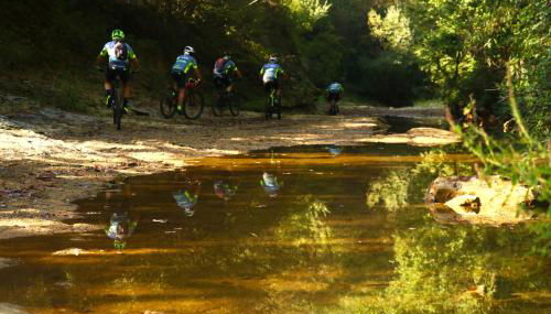 Agriturismo Fattoria Aquilone - Foto 5