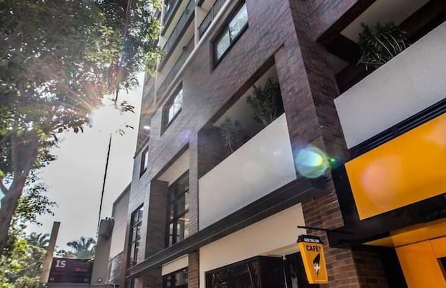 Studio Moema - Foto 1