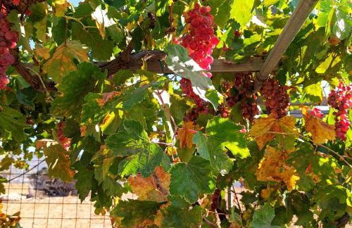 Traditional house inside Filoti, Naxos - Foto 62