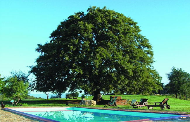 Az Agrituristica Bio Le Macchie Alte - Foto 23