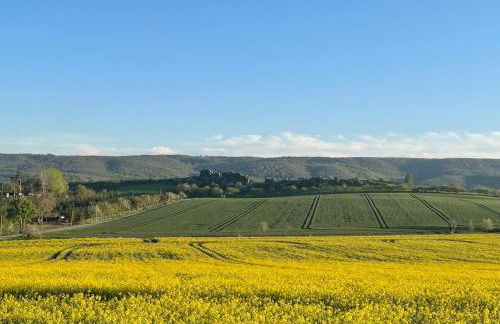 Naturidyll Teufelsmauer - Foto 5
