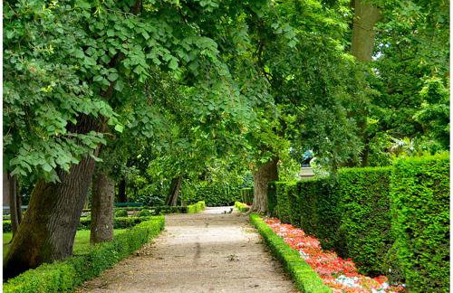 Appart Hôtel Albi - Foto 36