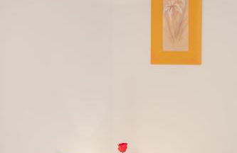 Inazio Deuna - baskeyrentals - Foto 33