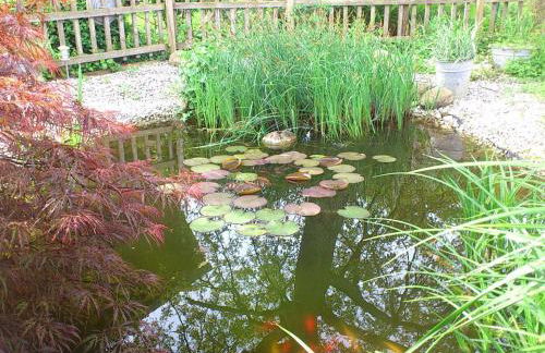 Gästehaus Schörgenhofer - Photo 11