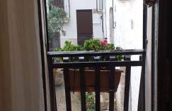 Le camelie - Foto 65