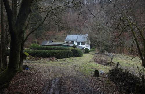 Holiday Home Moselle With Private Sauna - Foto 44