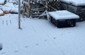 Coaltown Cottage Cosy 4 bed cottage with log burner, close to Gower beaches - Foto 42