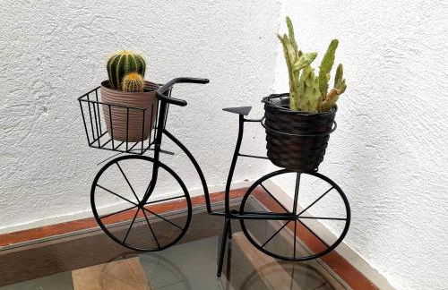 Cal Passió - Foto 17