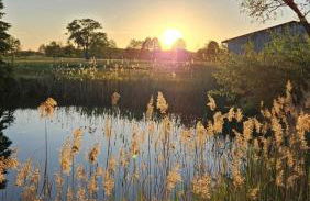 Spreewald-Pension Marina - Foto 2