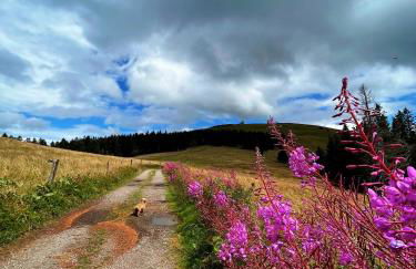 Ferienhaus Robin - Foto 14