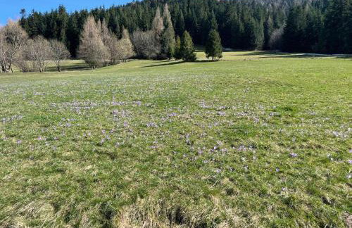 Szlak By Trafił - Photo 75