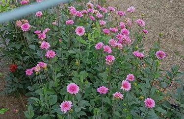 Da Ange e Bru - Foto 8