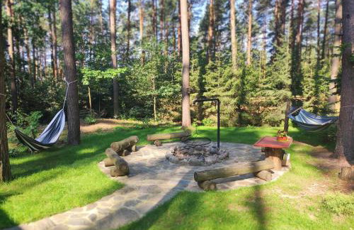 Domek pod sosnami - Foto 10