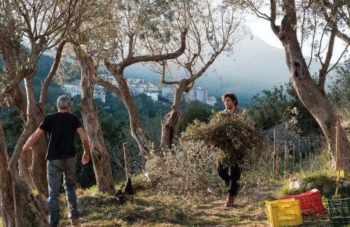 Ancient estate "Il Trignano" - Foto 32