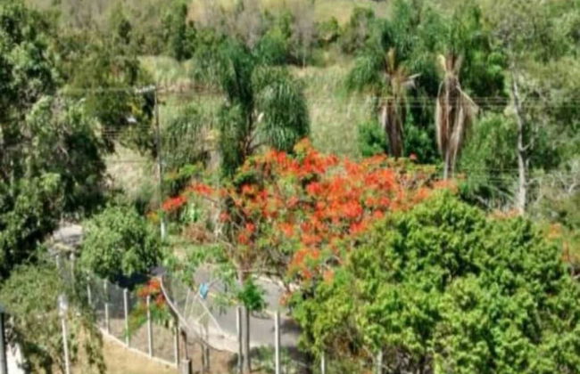 Village dos Pássaros - Foto 14