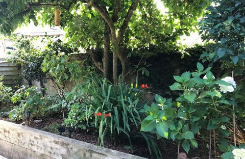 Church View - c. 1750 cosy character cob cottage. - Foto 9