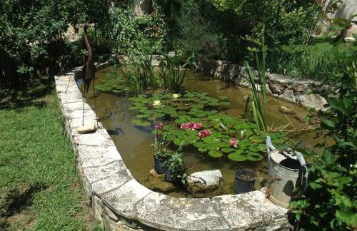 Gite La Paillote - Foto 71