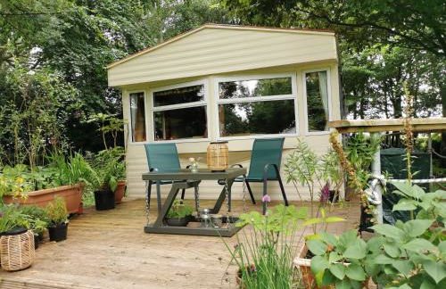 Doughery Den The Dark Hedges Hideaway - Foto 1