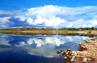 Casa Coral - Foto 30