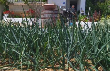 Apartment Marija Marina - Photo 9