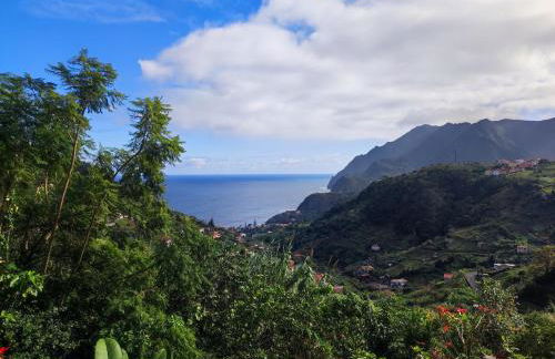 Madeira V2 Porto da Cruz - Foto 5