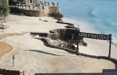 Game Fish Apartment - Foto 15