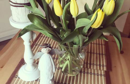 Sielsko-Anielsko centrum - Foto 36