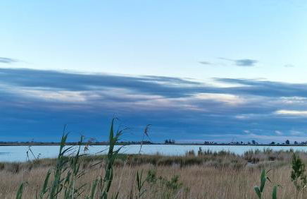 La Casita del Poble Nou del Delta - Foto 72