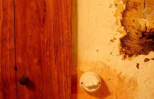 Il Mondo In Valle - Foto 4