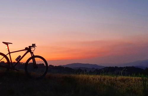 Chalet Leonard House in the wood - Foto 25