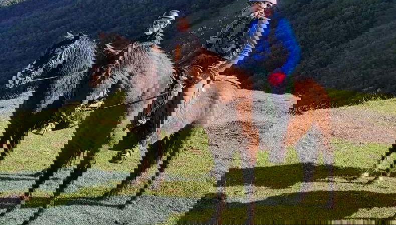 Passeando a cavalo pelos Picos de Europa