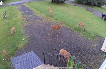 Cozy House in Long Pond 3 bedrooms 10 people - Foto 40