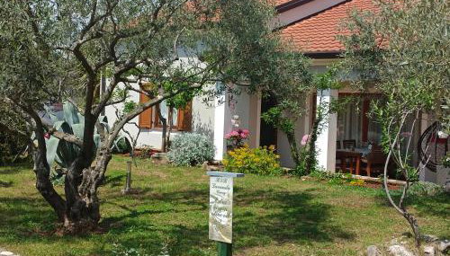 Apartment AnaLaura - Foto 4, Garden