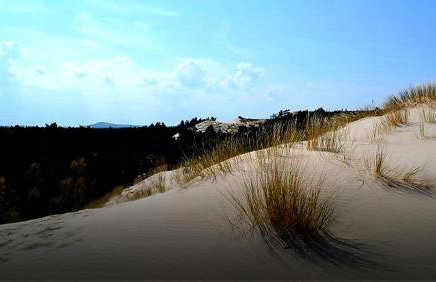 Domek letniskowy - Foto 14