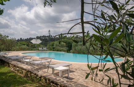 Poggio Al Palio - Foto 68