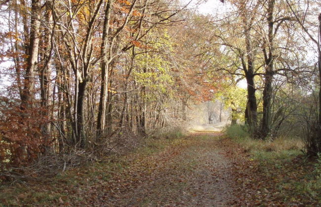 Peter Lassau Modern Retreat - Foto 24